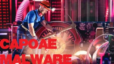 Malware Capoae and WordPress