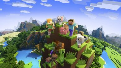 Chaos attacks Minecraft players