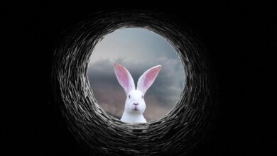 phần mềm độc hại mới White Rabbit