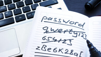 Malware Prynt Stealer