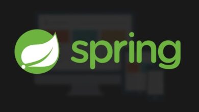 Spring4Shell and Mirai problem