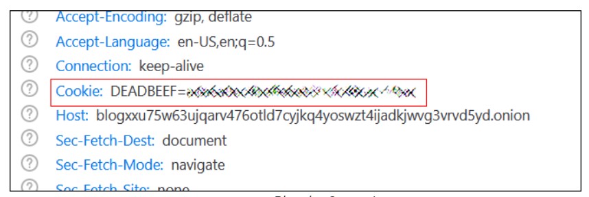 REvil darknet-sites